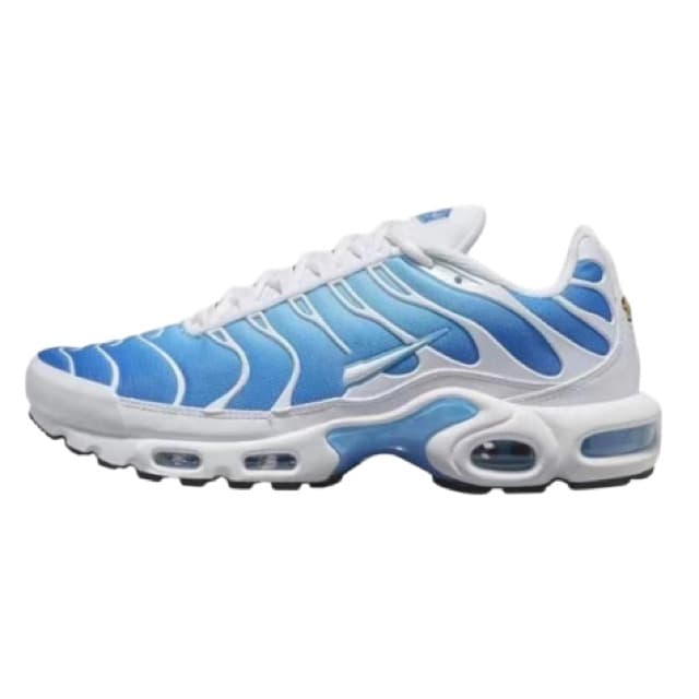 Air max Tn