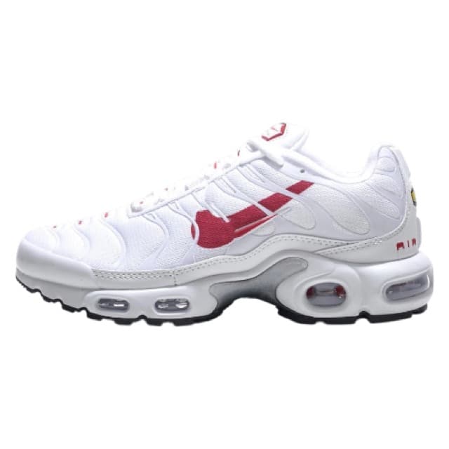 Air max Tn