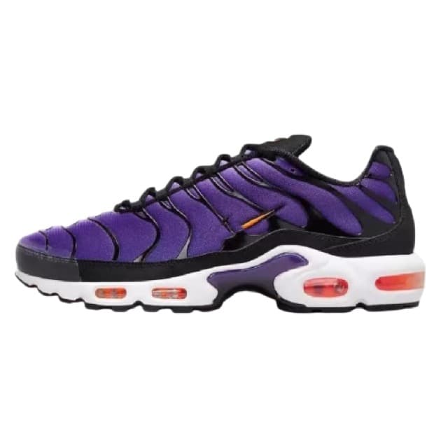 Air max Tn