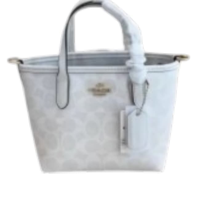 Coach Mini Bag