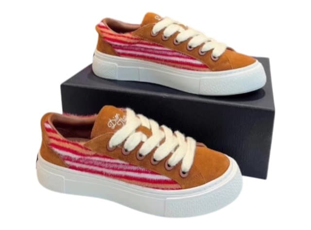 DIOR B33