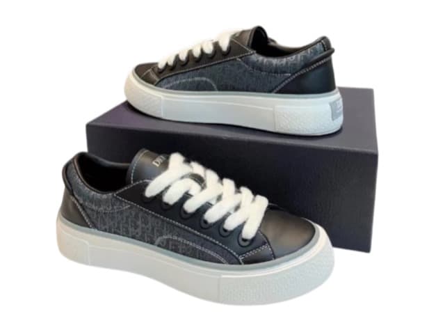 DIOR B33
