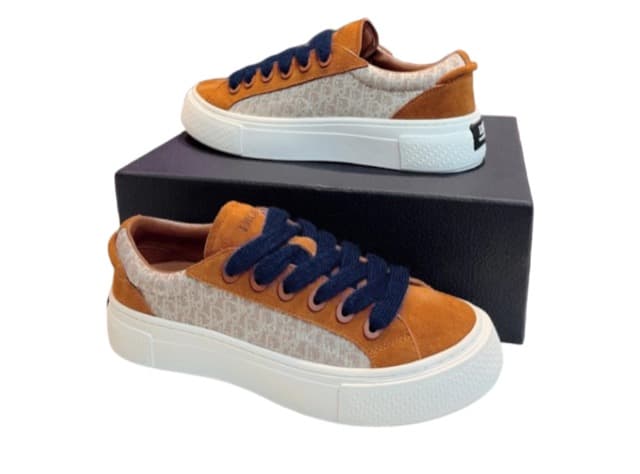 DIOR B33