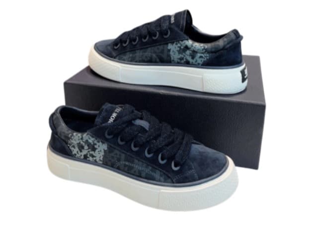 DIOR B33