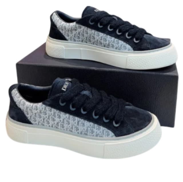 DIOR B33