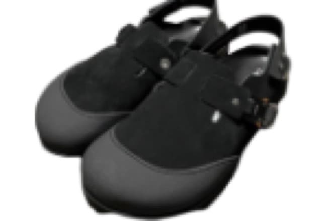 Dior Birkenstocks
