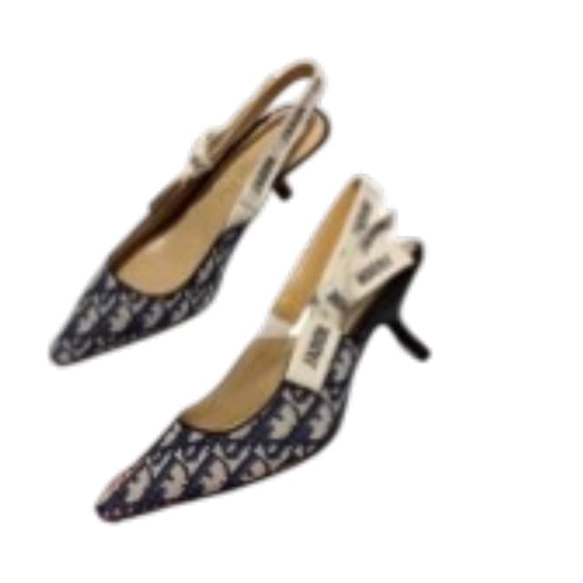 Dior High Heels