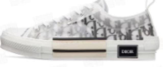 Dior Low B23