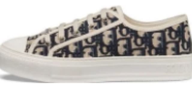 Dior Platform Trainers