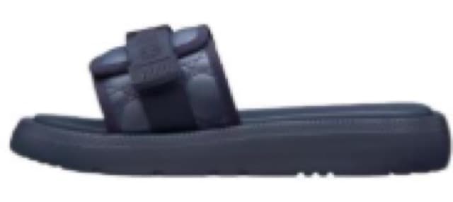 Dior Slides