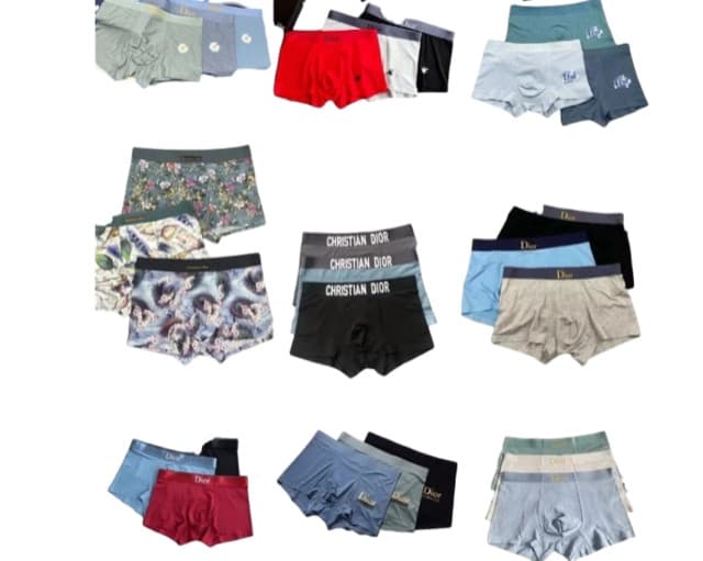 Dior underwear