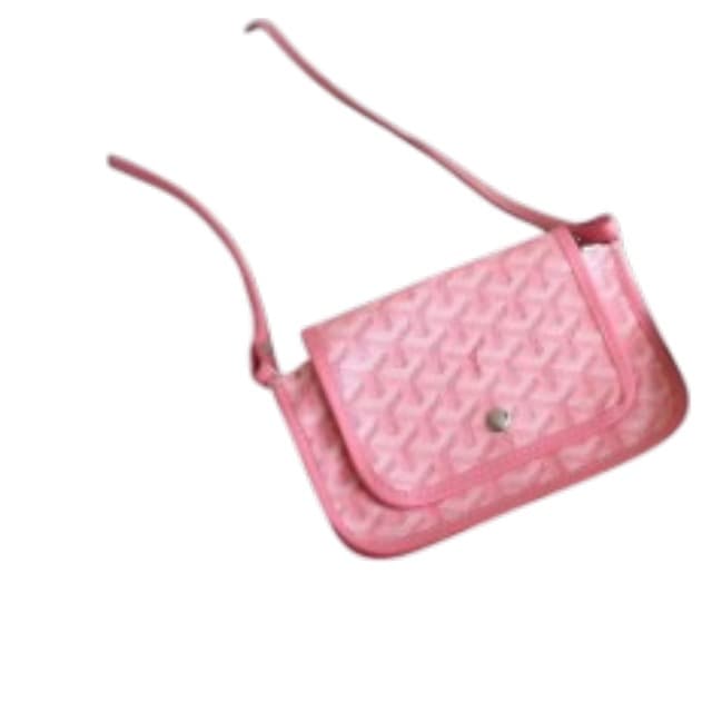Goyard bag