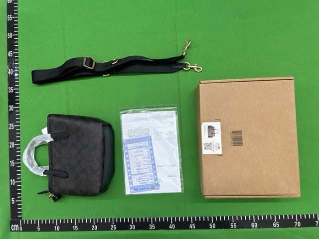 LV fashion bag