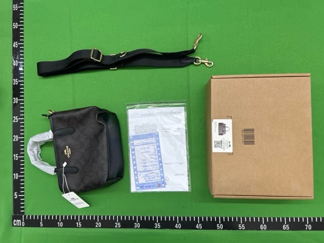 LV fashion bag