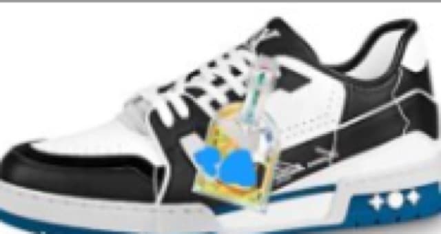 LV Trainer Signature
