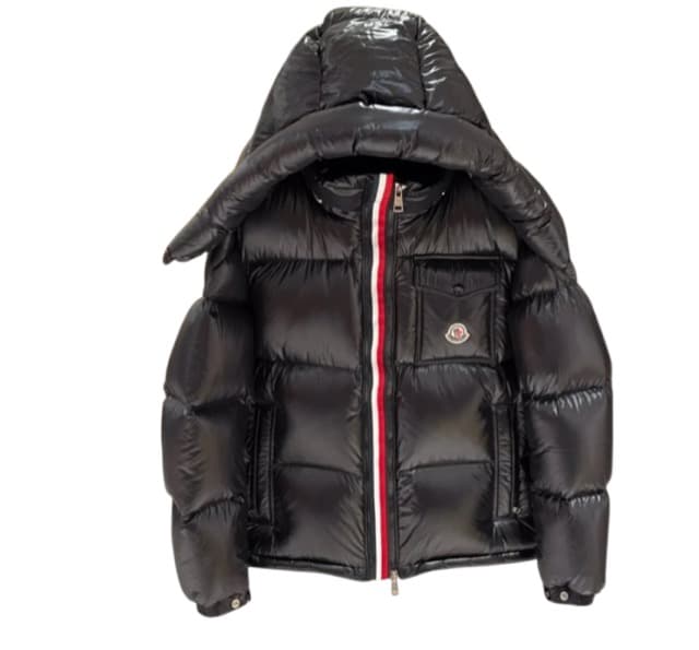 Moncler montbeliard down jacket