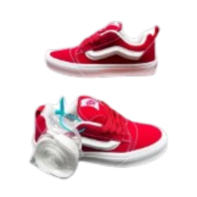 Vans Skate Shoes