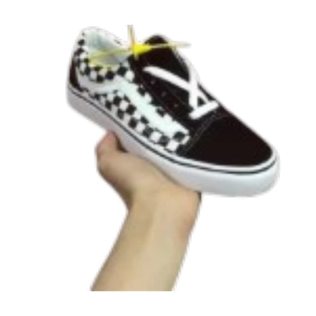 Vans Skate Shoes