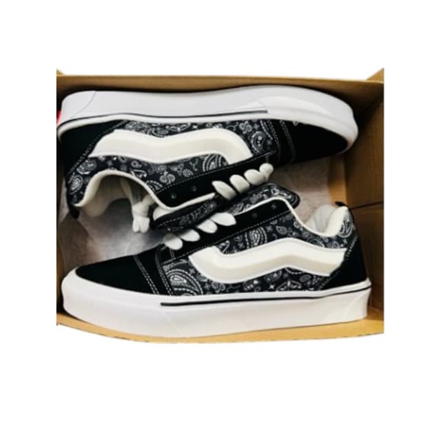 Vans Skate Shoes