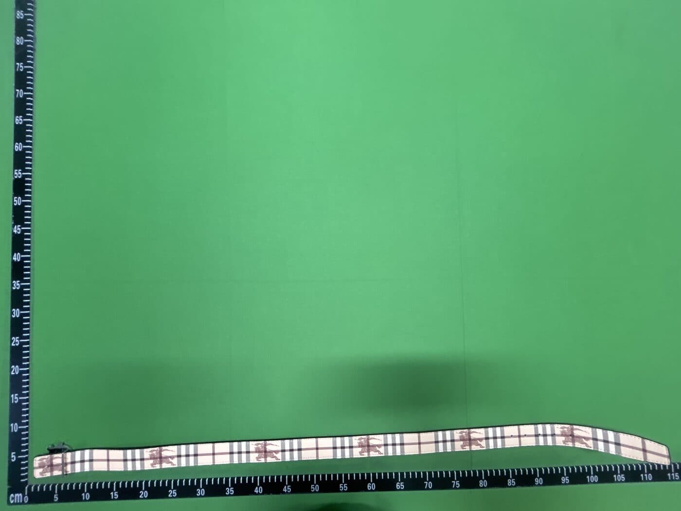 Burberry Belt