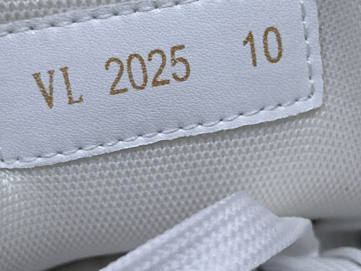 LV Louis Vuitton Trainer Sneaker
