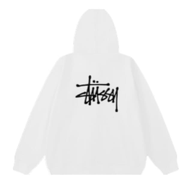 Stussy Hoodie (+20 styles)