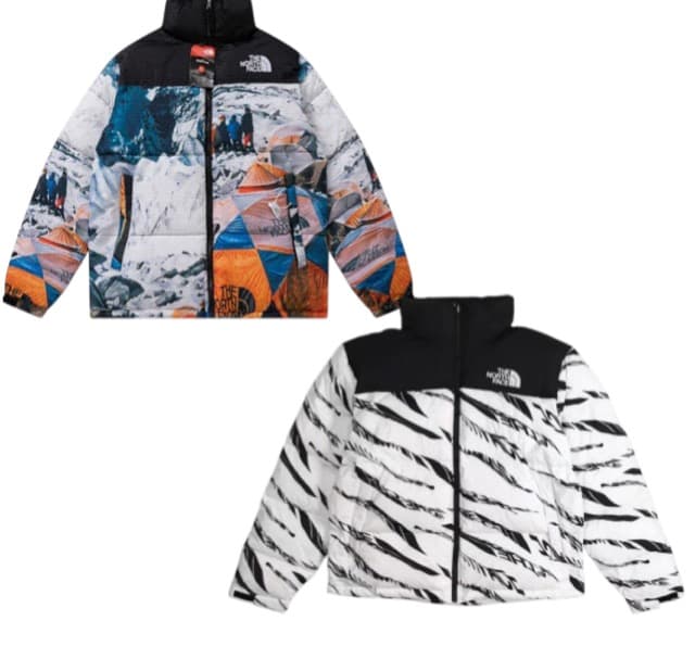 The North Face down jacket (+20 styles)