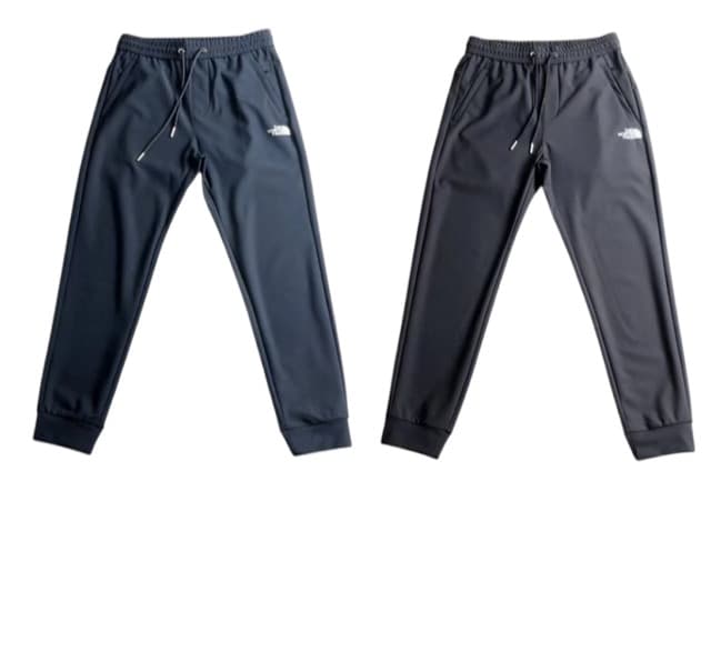 The north face pant